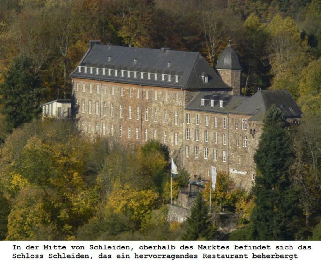 Ferienwohnung Gross B Schleiden Exterior foto